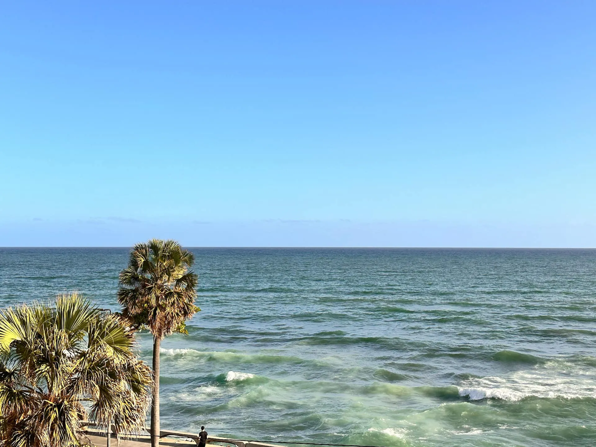 Blue Caribbean water and a palm tree below a Potenza apartment window