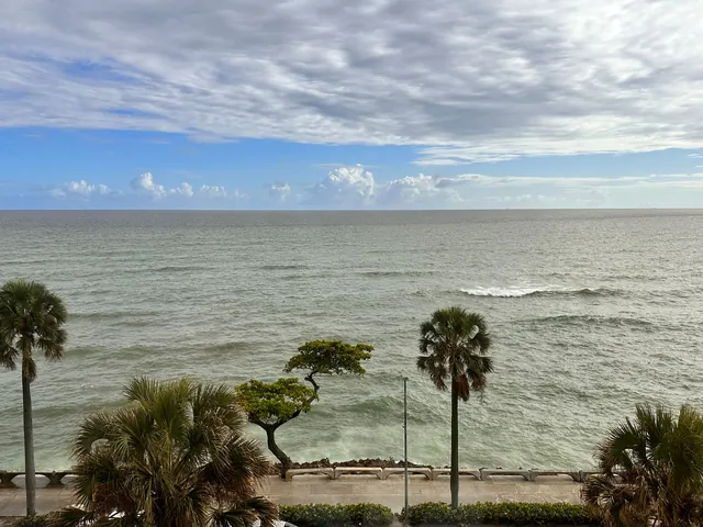 Morning view over the Malecón promenade, palms and the open sea