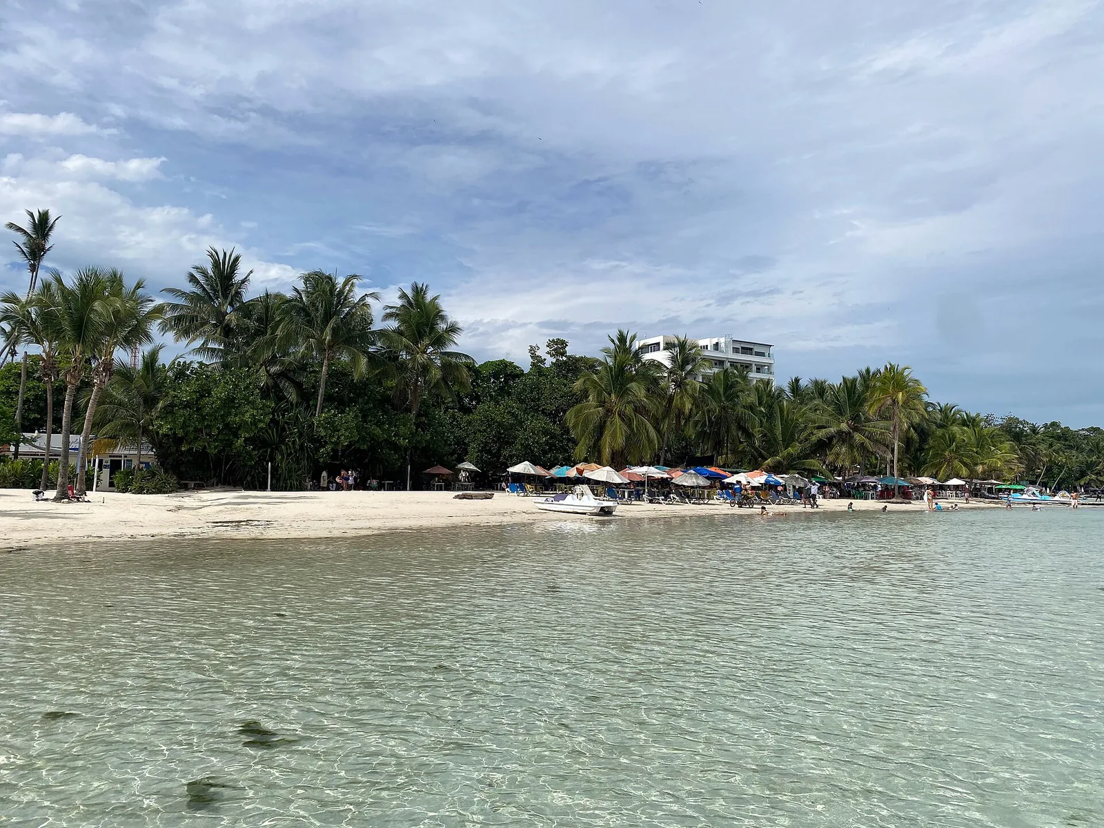 Palms and white sand along Playa Boca Chica