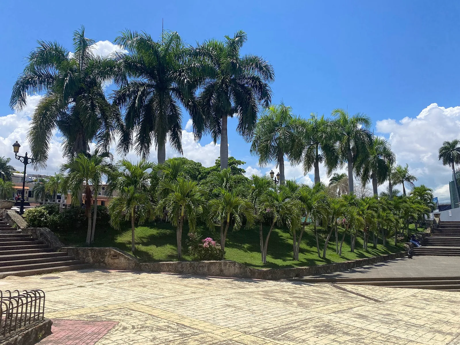 Palms and steps at Plaza de España in the Colonial Zone