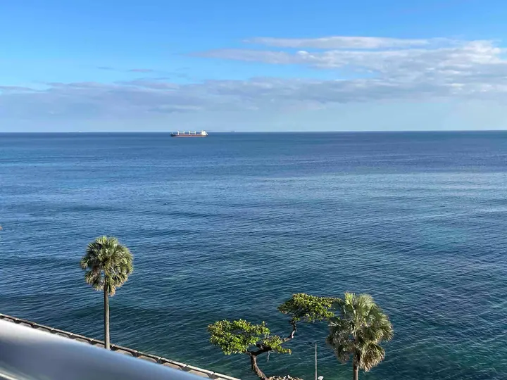 The Caribbean Sea from a Potenza balcony above the Malecón, with royal palms along the seafront