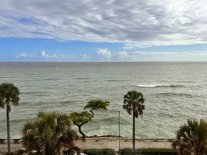 Morning view over the Malecón promenade, palms and the open sea